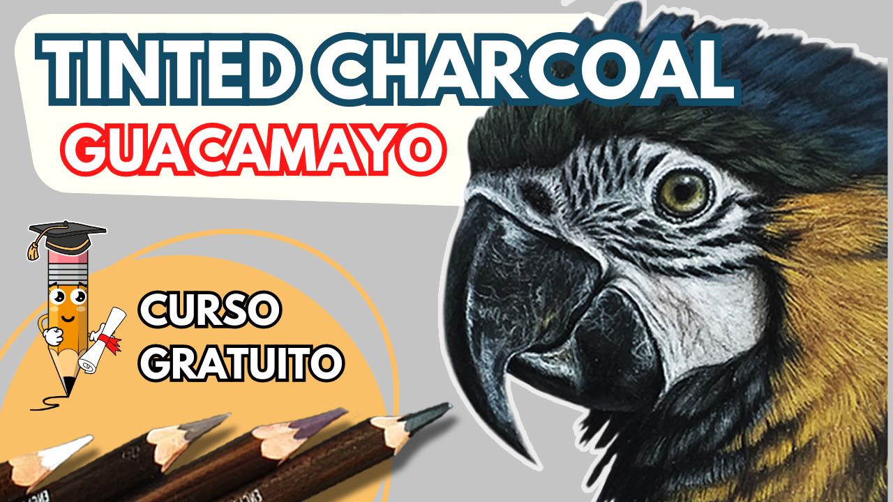 curso tinted charcoal guacamayo