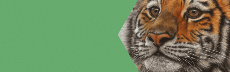 cursos-online-retrato-de-animales-banner-tigre