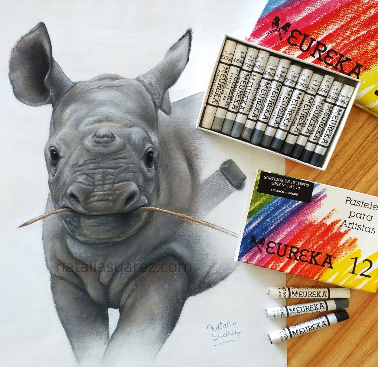 gradaciones tonales en pastel