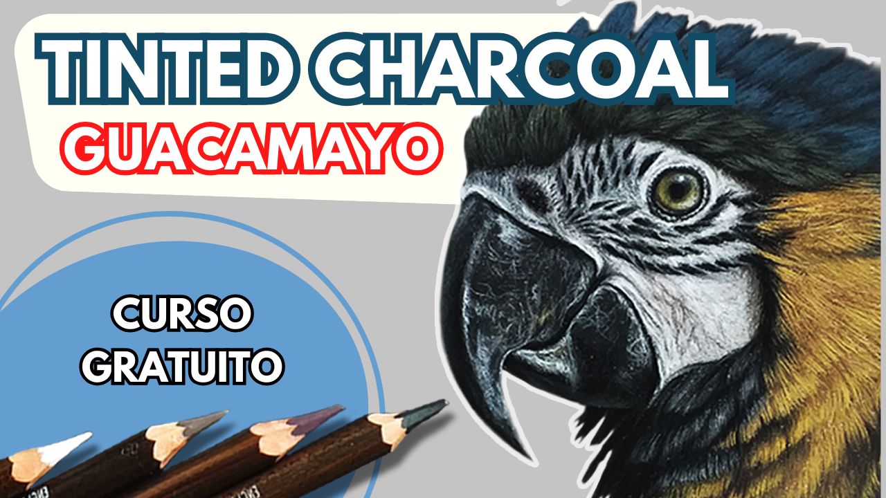 curso tinted charcoal guacamayo