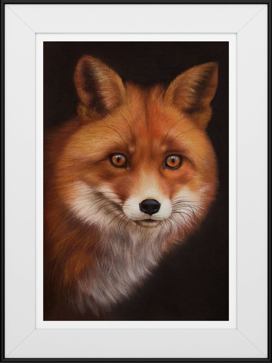galeria animales salvajes